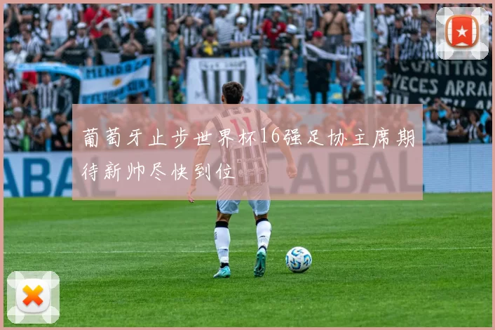 葡萄牙止步世界杯16强足协主席期待新帅尽快到位