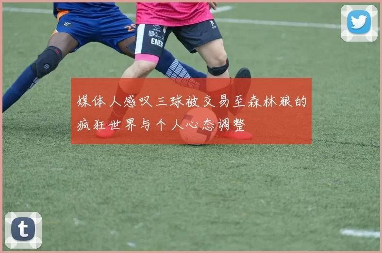 媒体人感叹三球被交易至森林狼的疯狂世界与个人心态调整